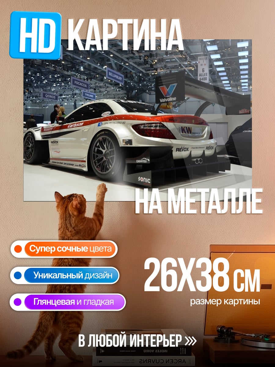 Картина на металле Гоночный автомобиль