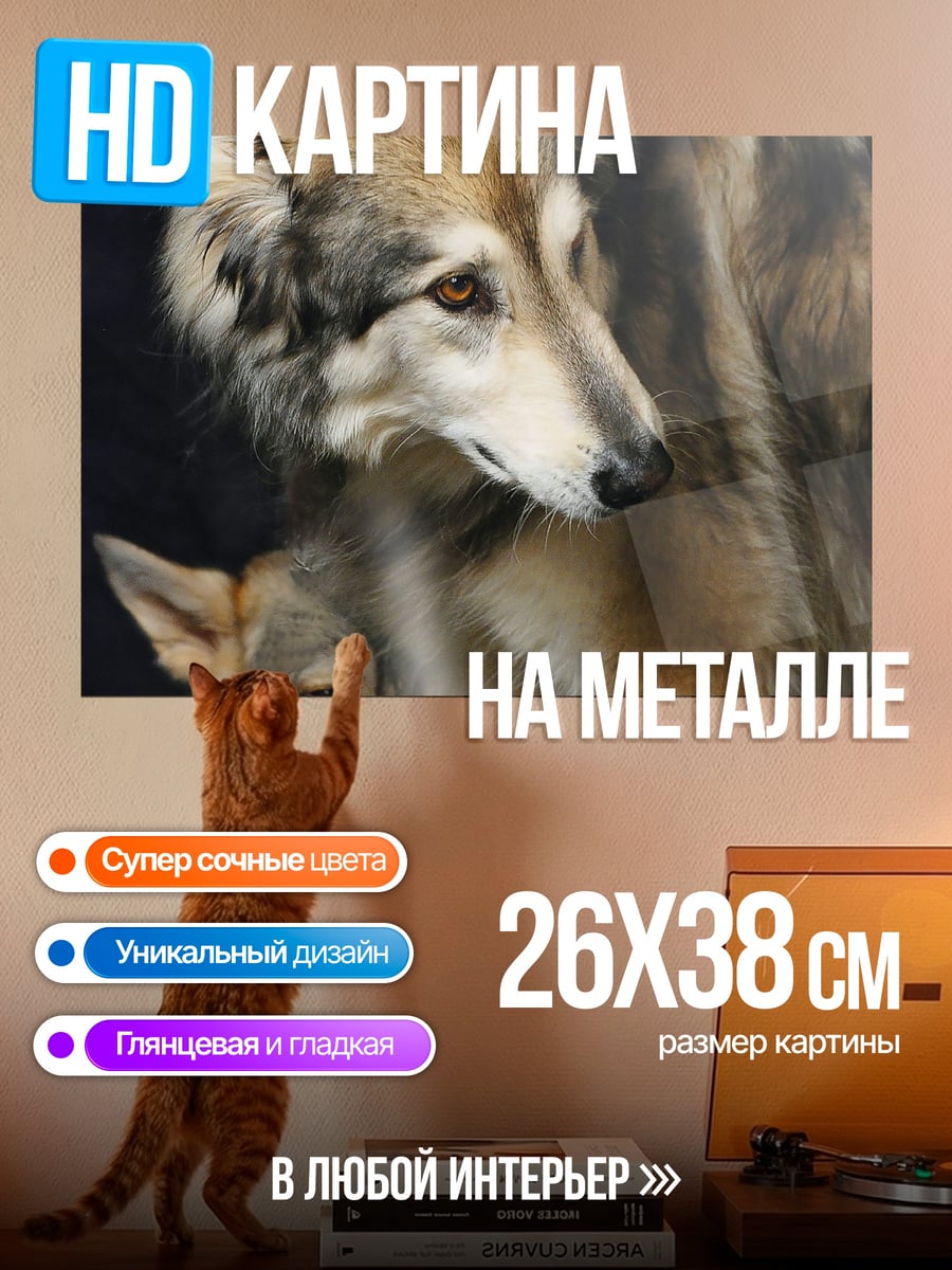 Картина на металле Два волка