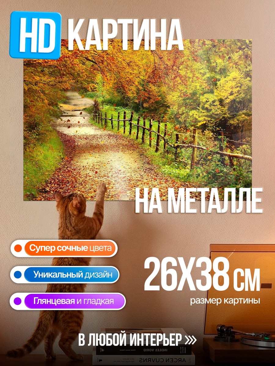 Картина на металле Осенняя тропа