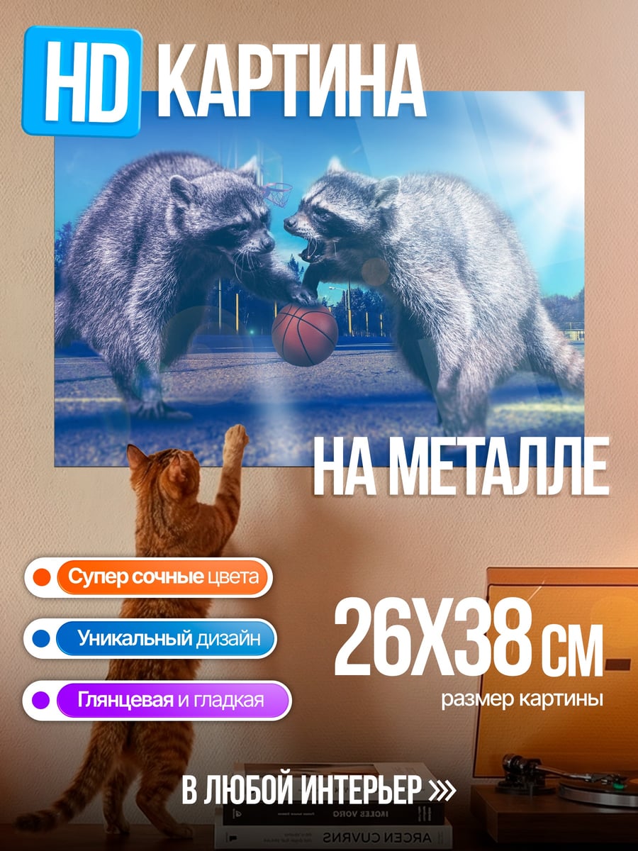 Картина на металле Еноты играют в мяч