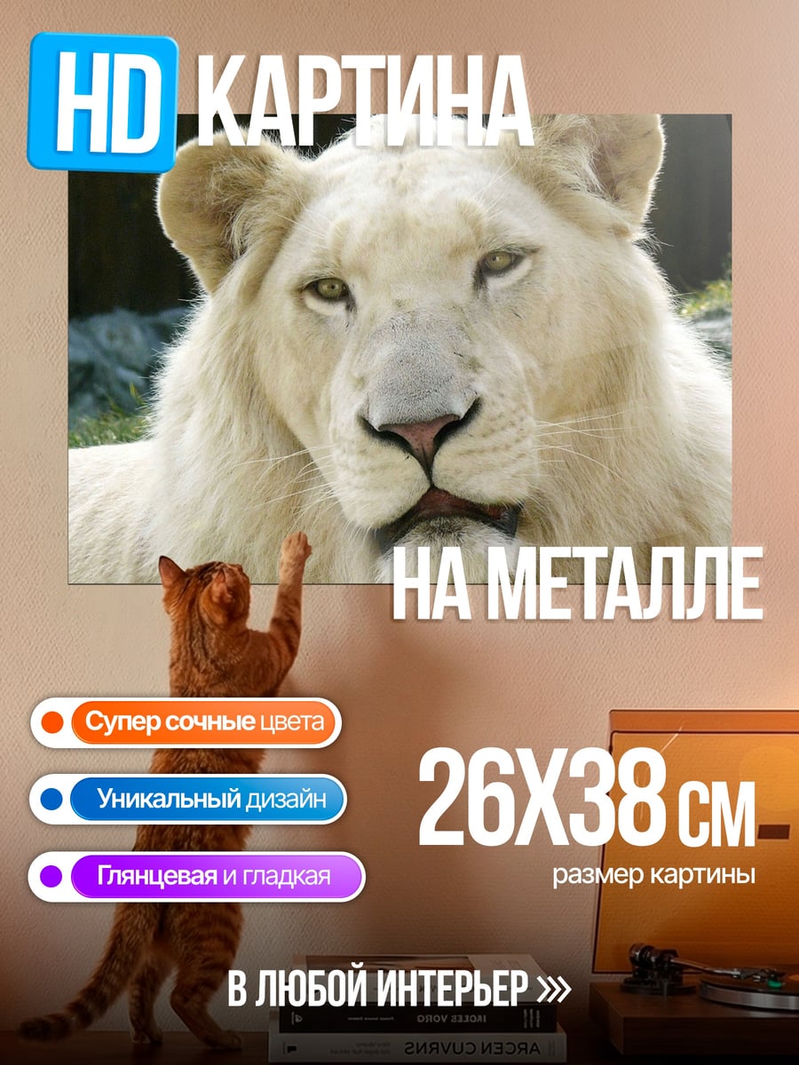 Картина на металле Белый лев смотрит