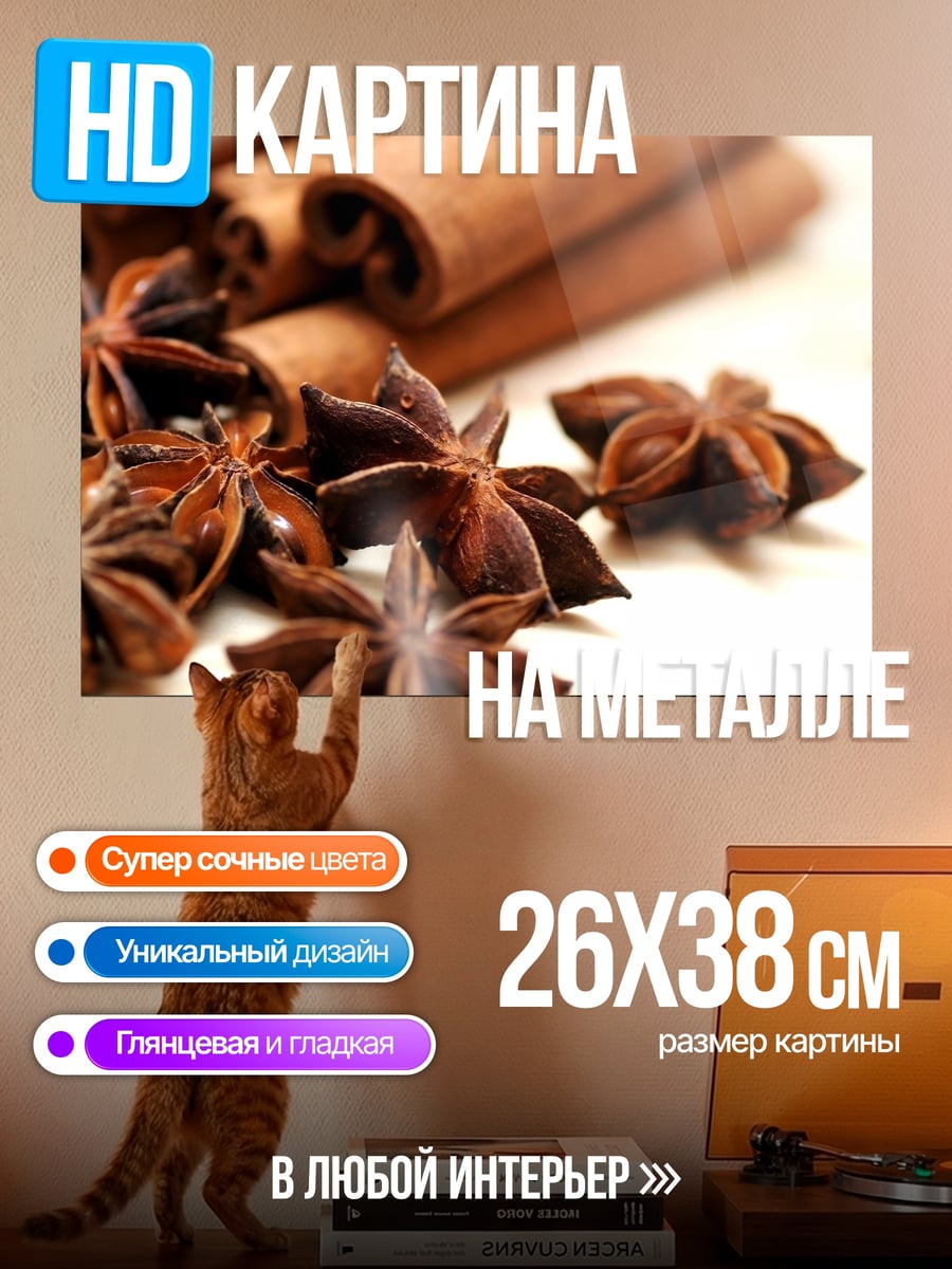 Картина на металле Корица и Анис