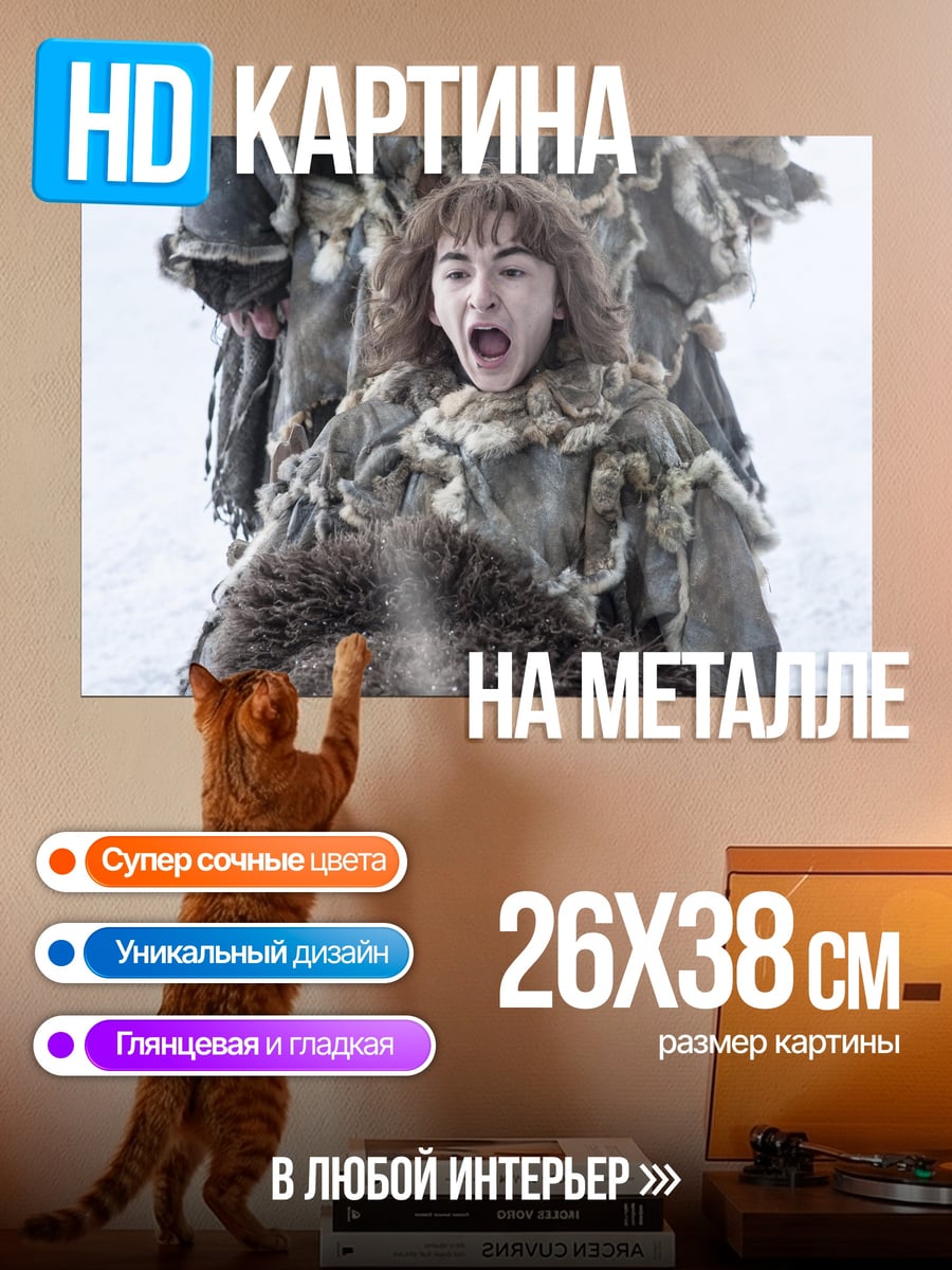 Картина на металле Бран Старк