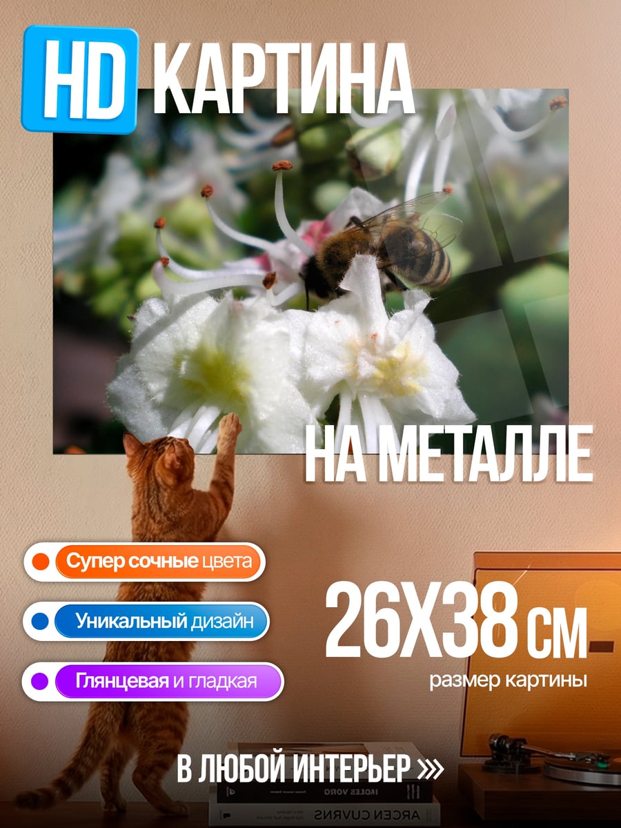 Картина на металле пчела на цветке