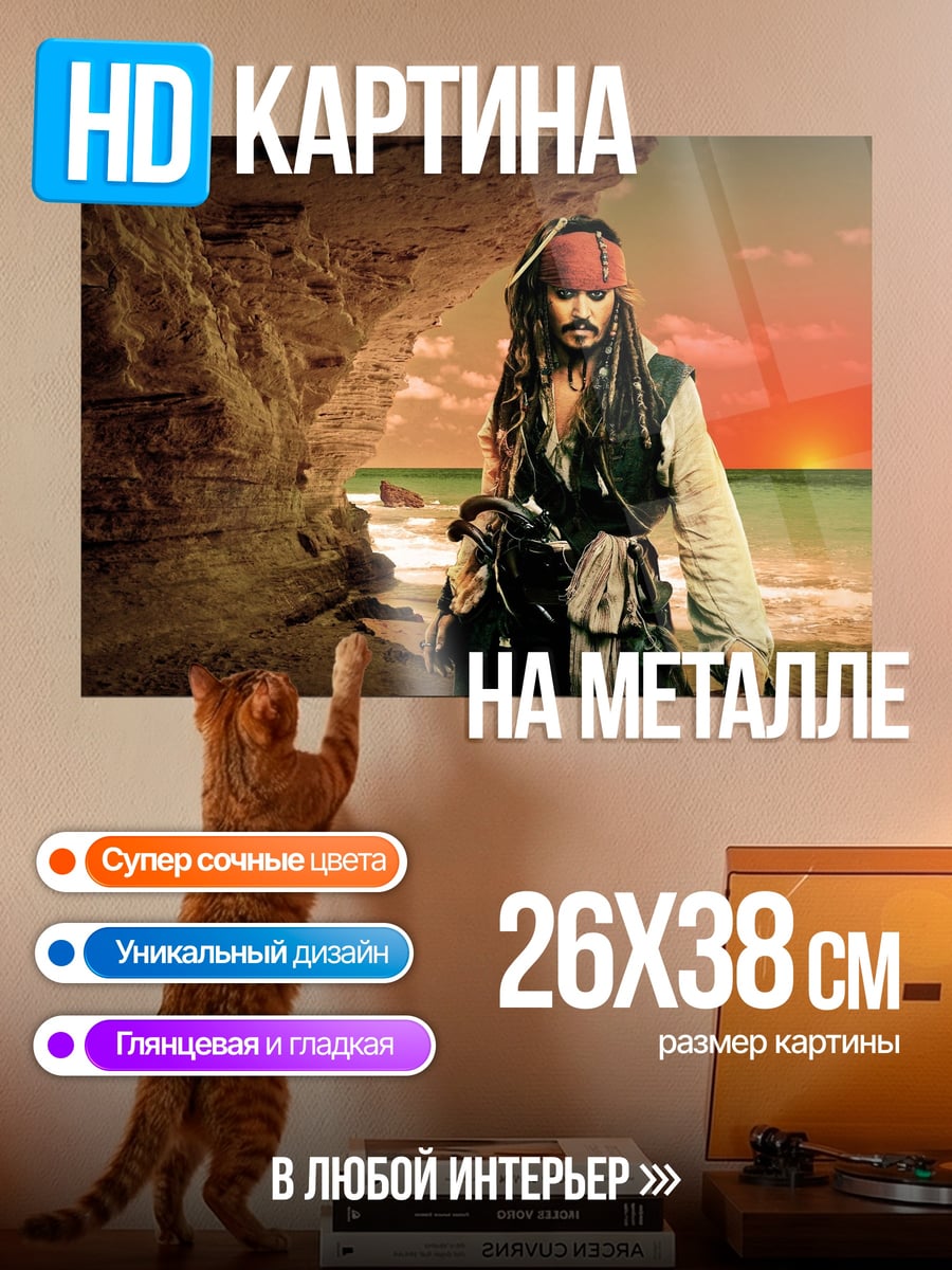 Картина на металле Пират на берегу