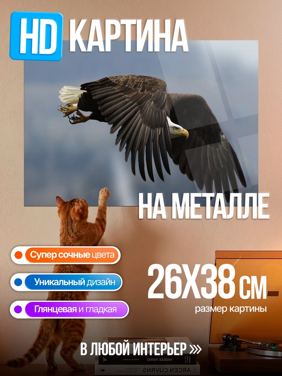 Картина на металле Орел в полете