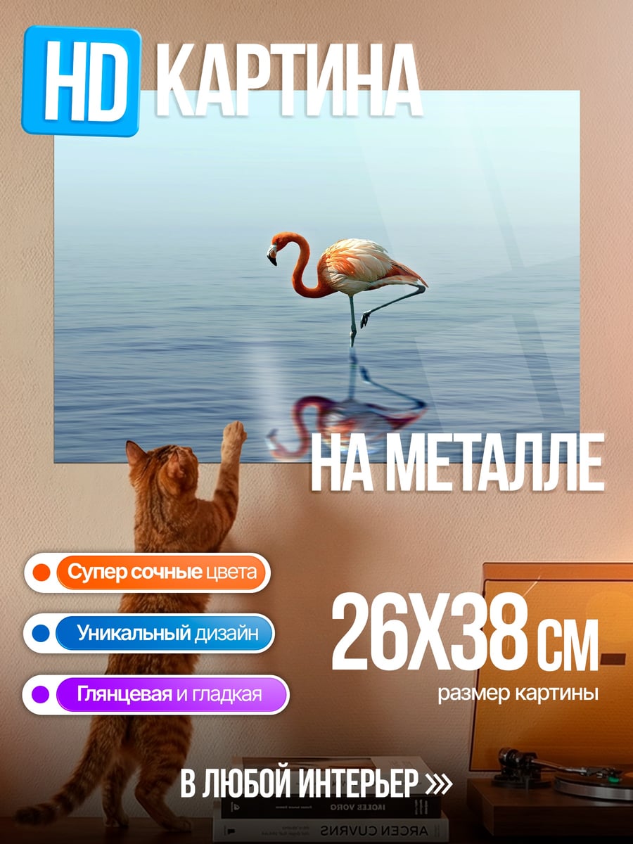 Картина на металле Одинокий фламинго на воде