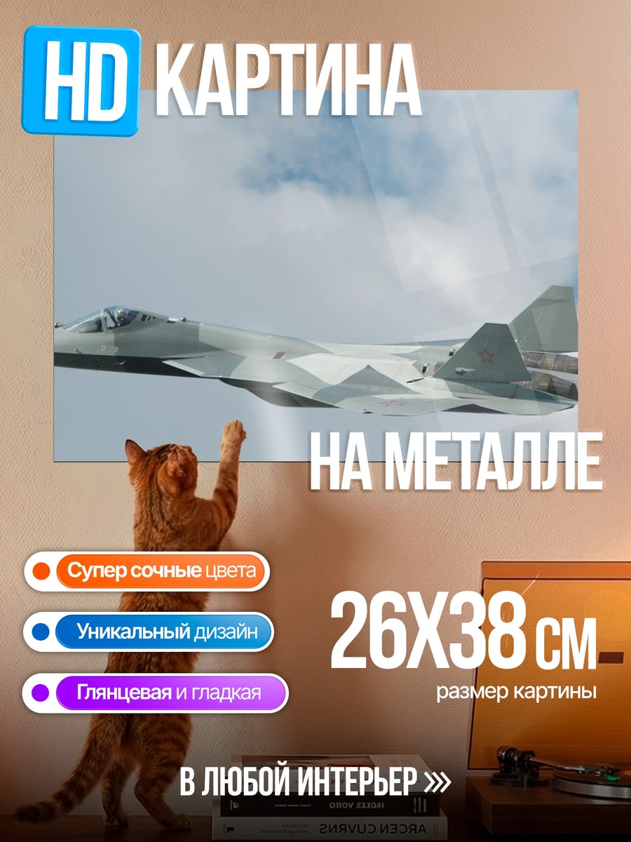 Картина на металле Военный самолет в небе