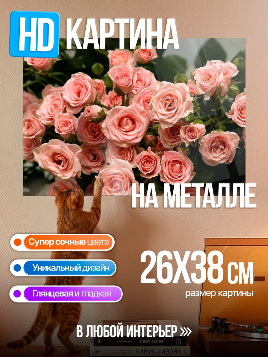Картина на металле Нежные розовые розы