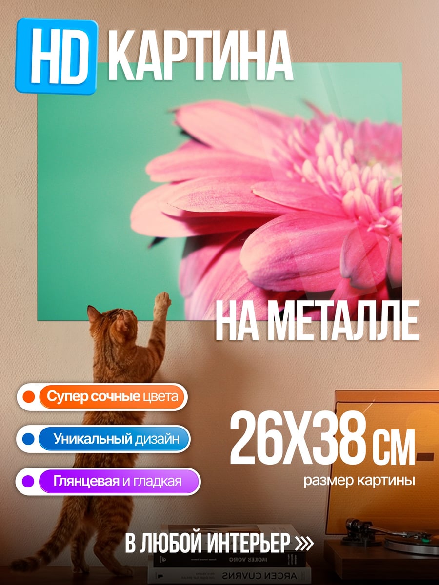 Картина на металле Розовая гербера