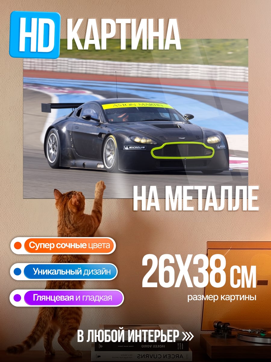 Картина на металле Гоночный автомобиль
