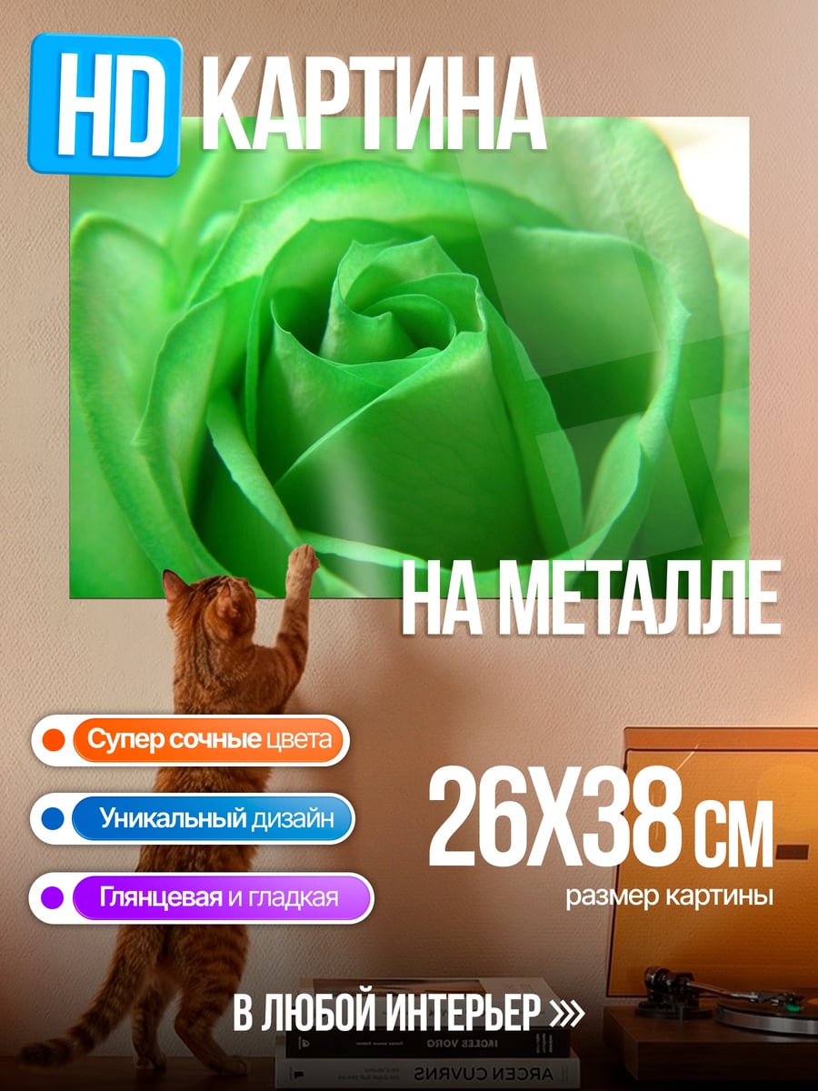 Картина на металле Зеленая роза