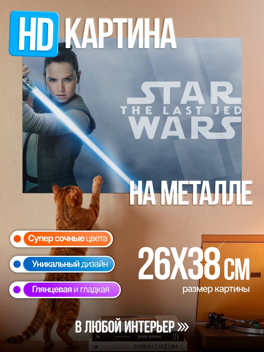 Картина на металле Рей Звездные Войны