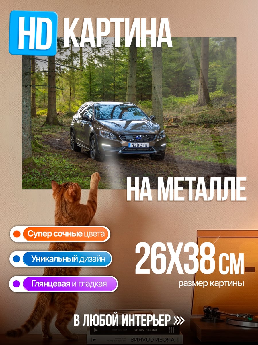 Картина на металле Автомобиль в лесу