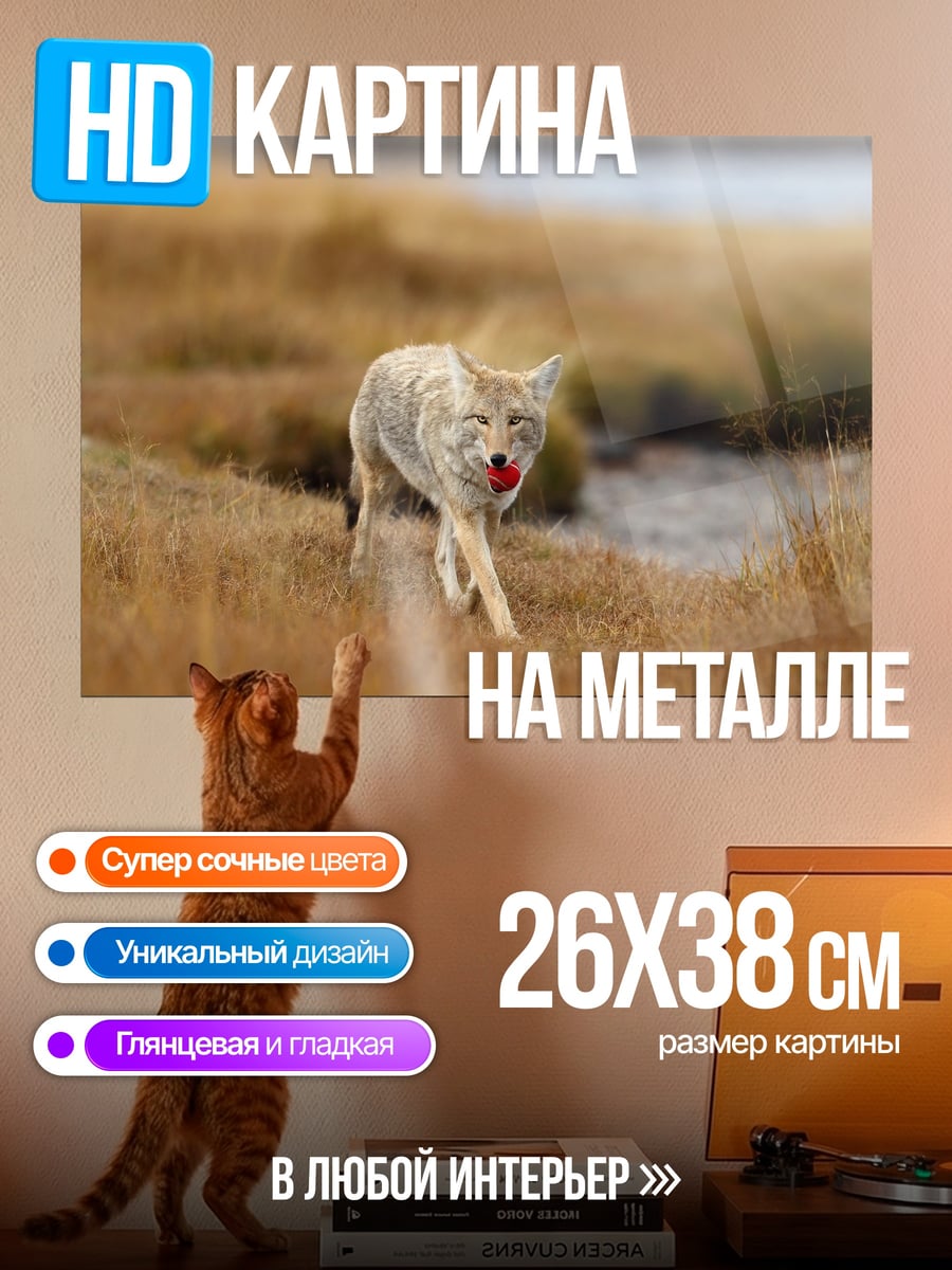 Картина на металле Койот в поле