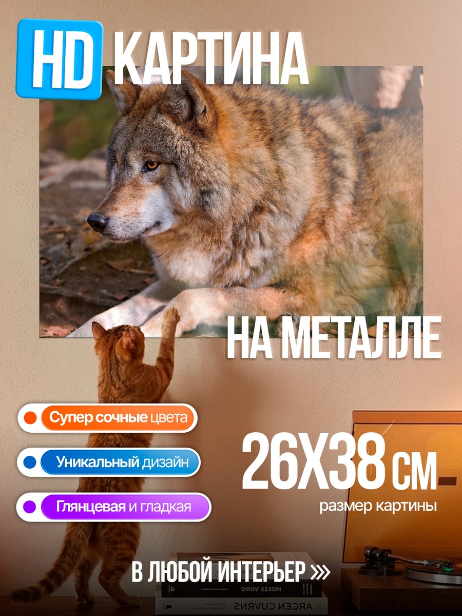 Картина на металле Лежащий волк