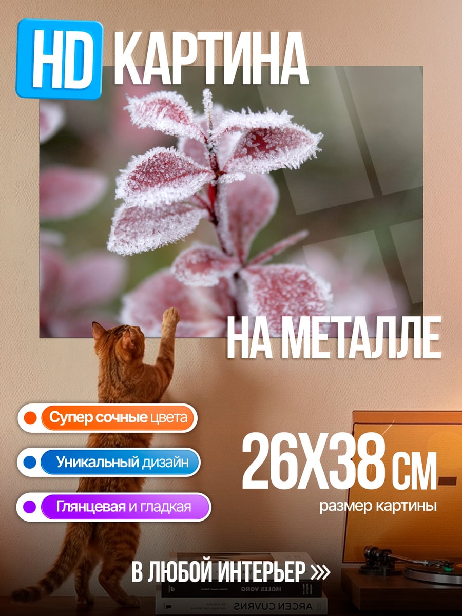 Картина на металле Морозные листья