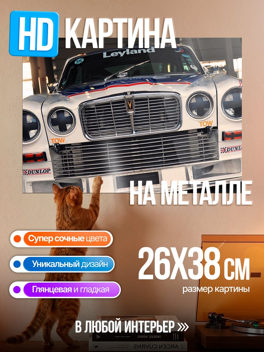 Картина на металле Гоночный автомобиль