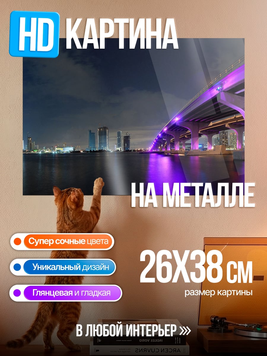 Картина на металле Ночной мост Майами