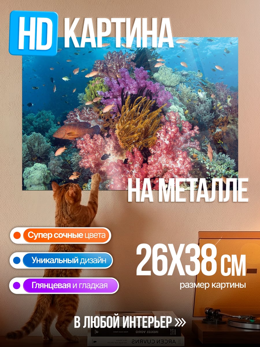Картина на металле Коралловый риф подводный