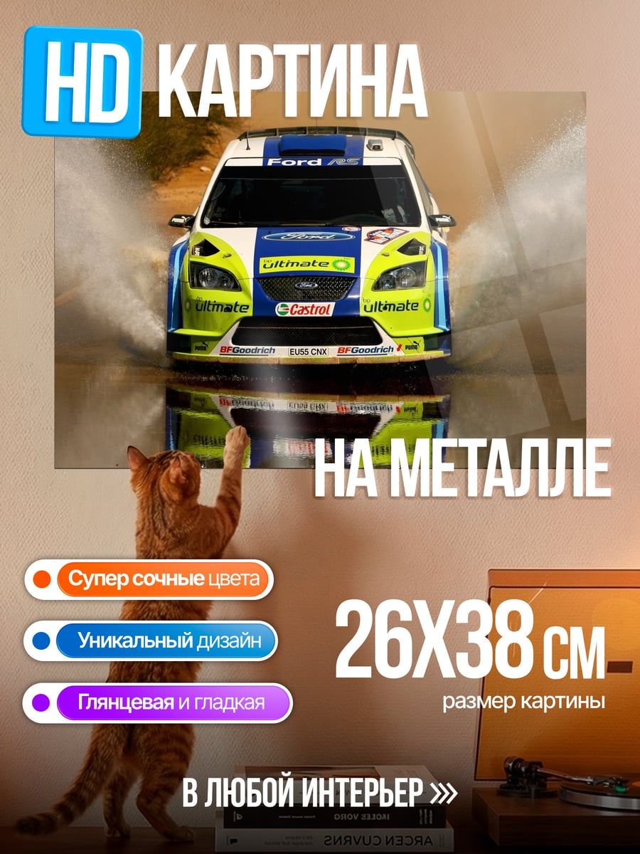 Картина на металле Ралли машина брызги