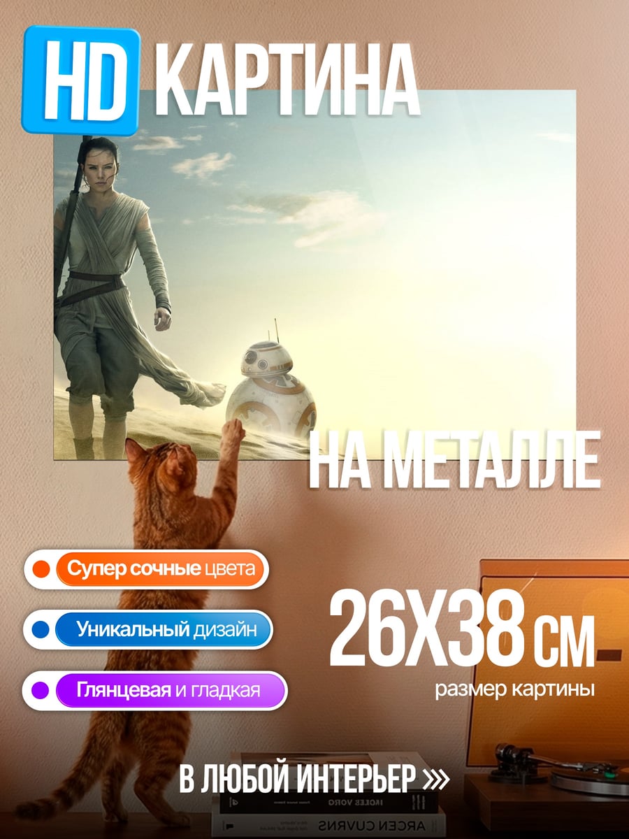 Картина на металле Рей и BB-8