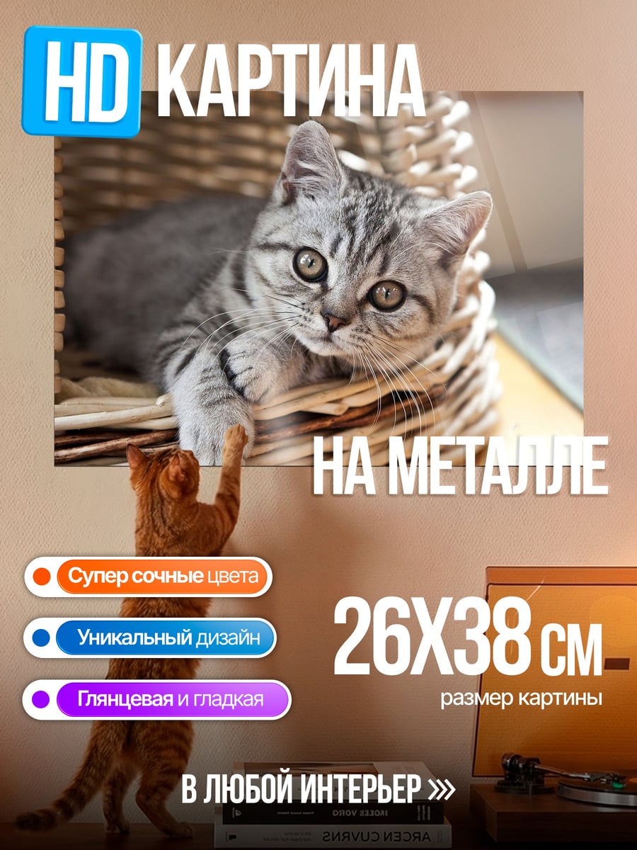 Картина на металле Кот в корзине