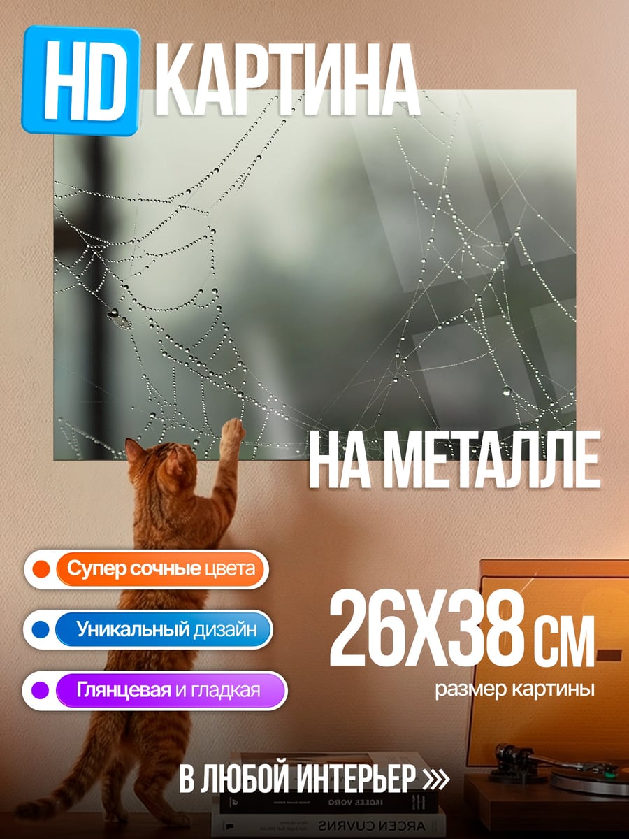 Картина на металле Паутина с каплями