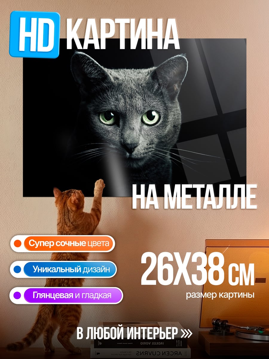 Картина на металле Серый кот