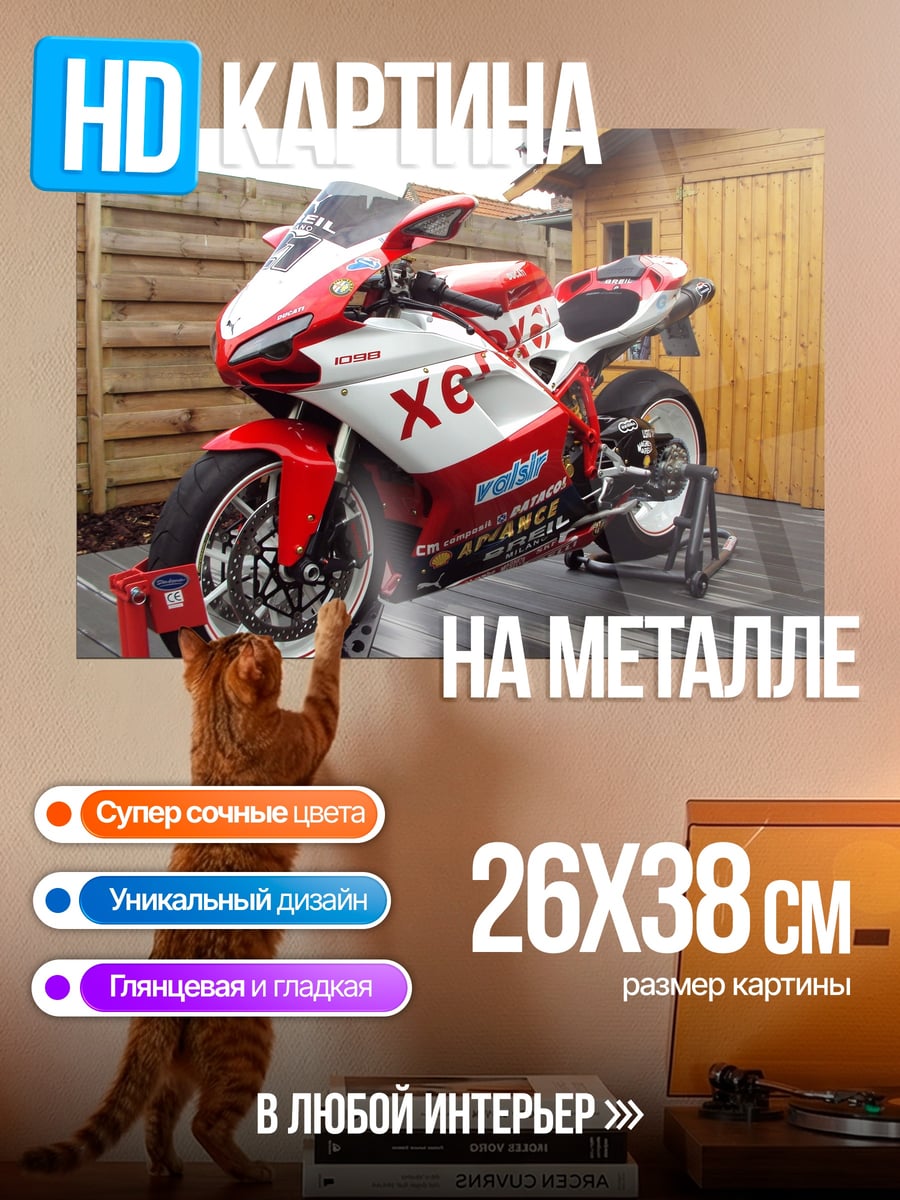 Картина на металле красный гоночный мотоцикл