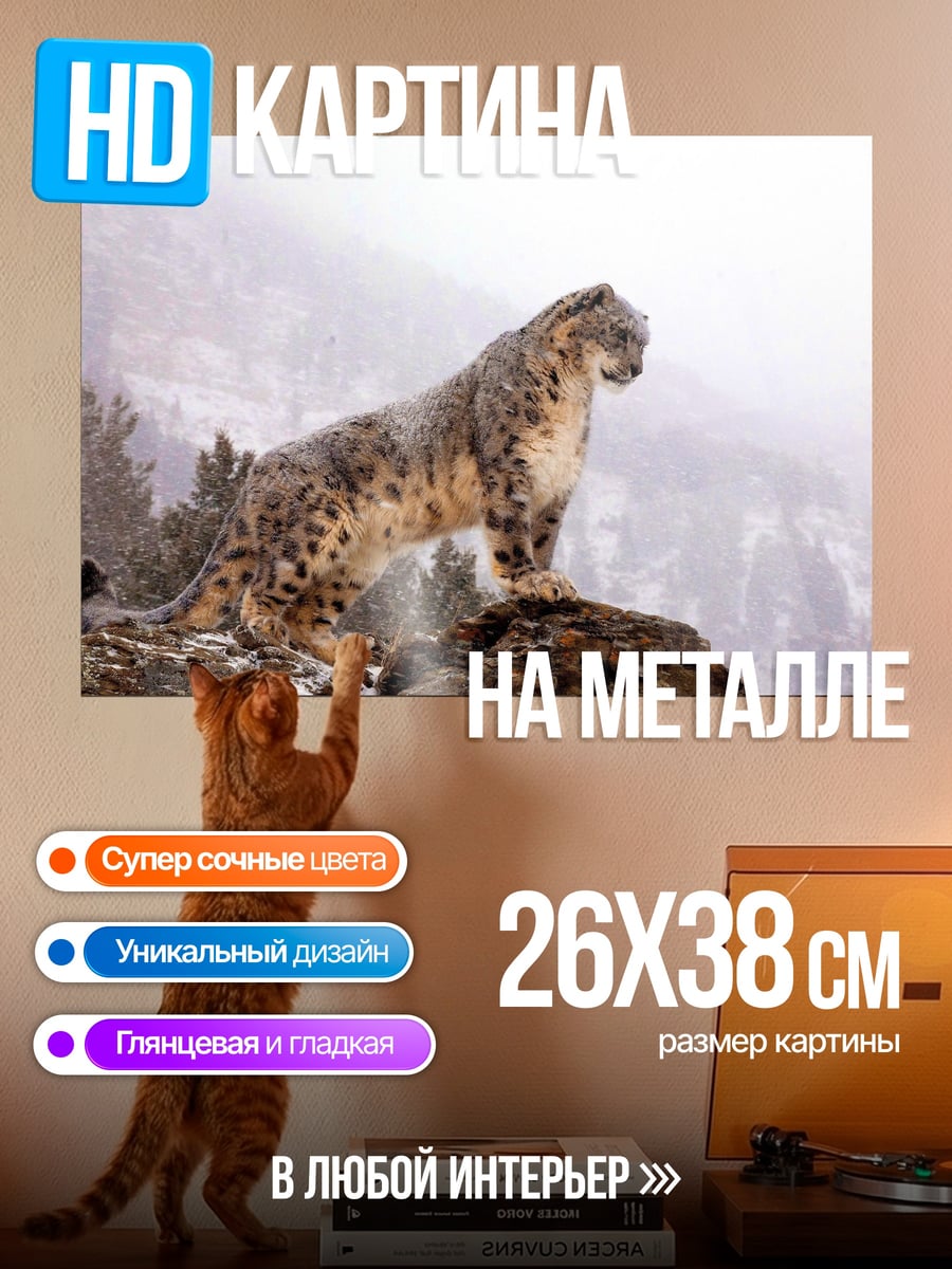 Картина на металле Снежный барс на скале