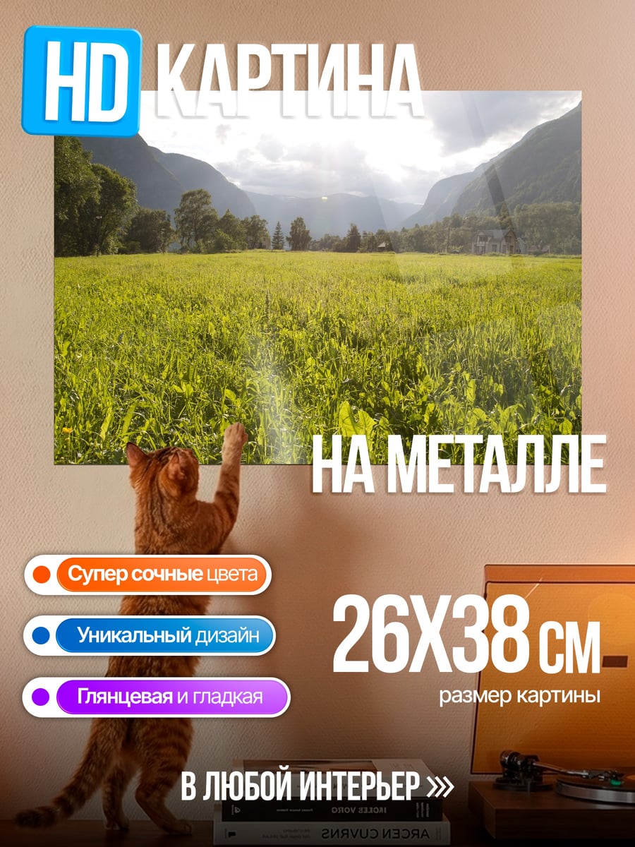 Картина на металле Зеленый луг в горах
