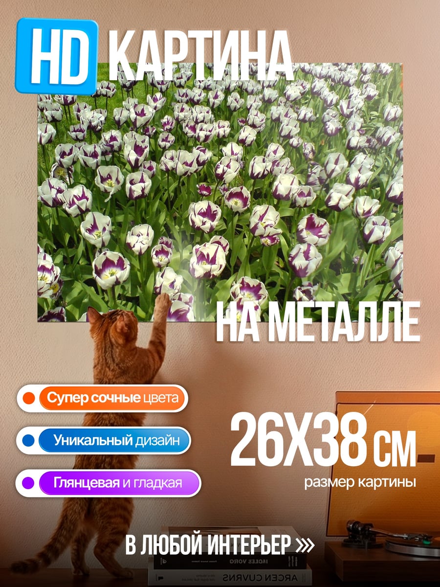 Картина на металле Поле тюльпанов весна