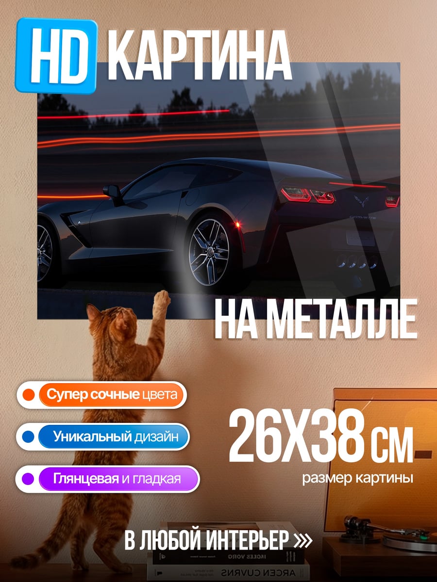 Картина на металле Ночная гонка Corvette