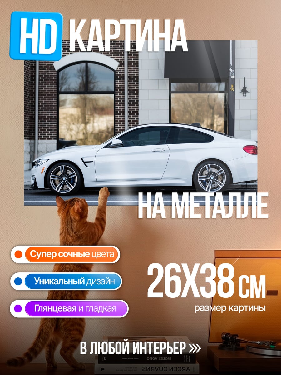 Картина на металле Белое купе