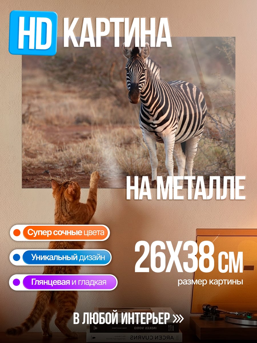 Картина на металле Зебра в саванне