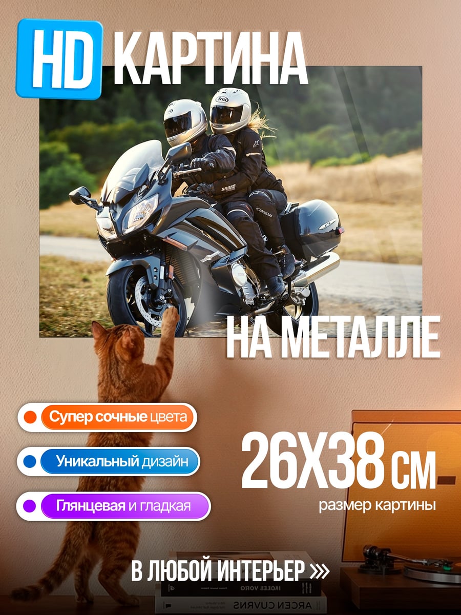 Картина на металле Пара на мотоцикле