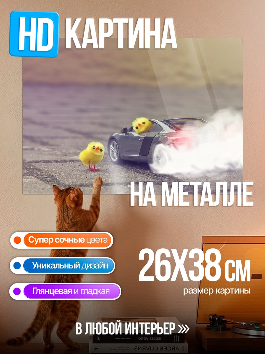 Картина на металле Цыпленок за рулем