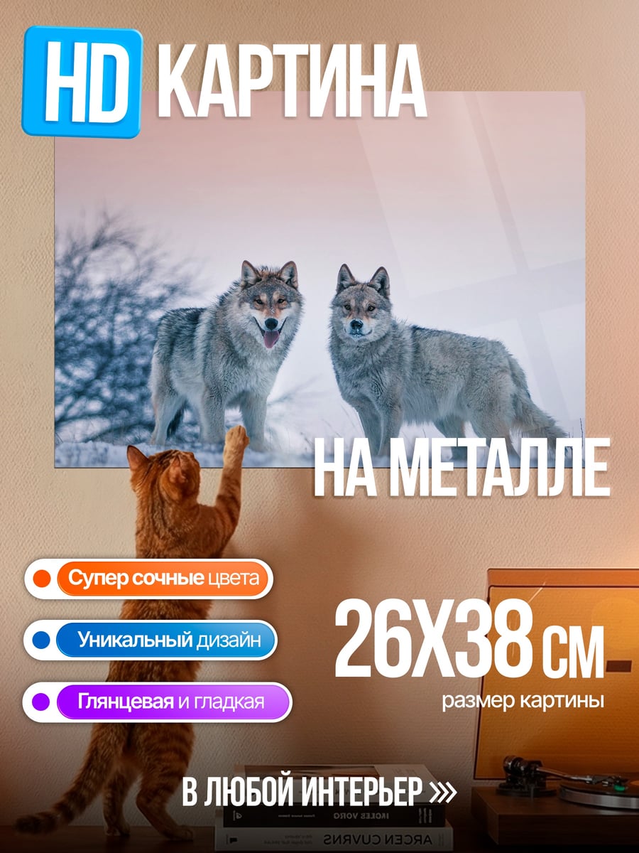 Картина на металле Два волка зимой