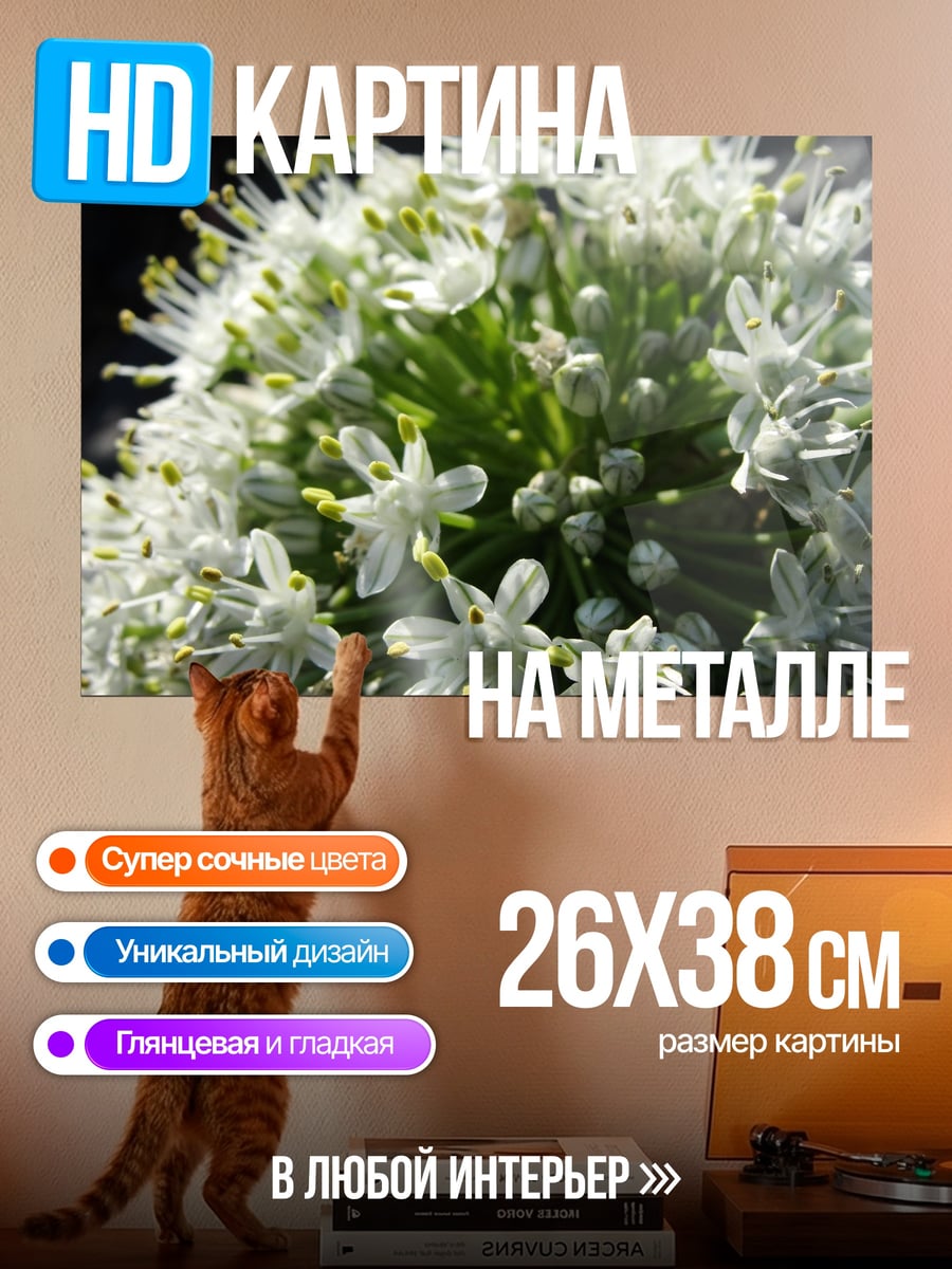 Картина на металле Цветок лука
