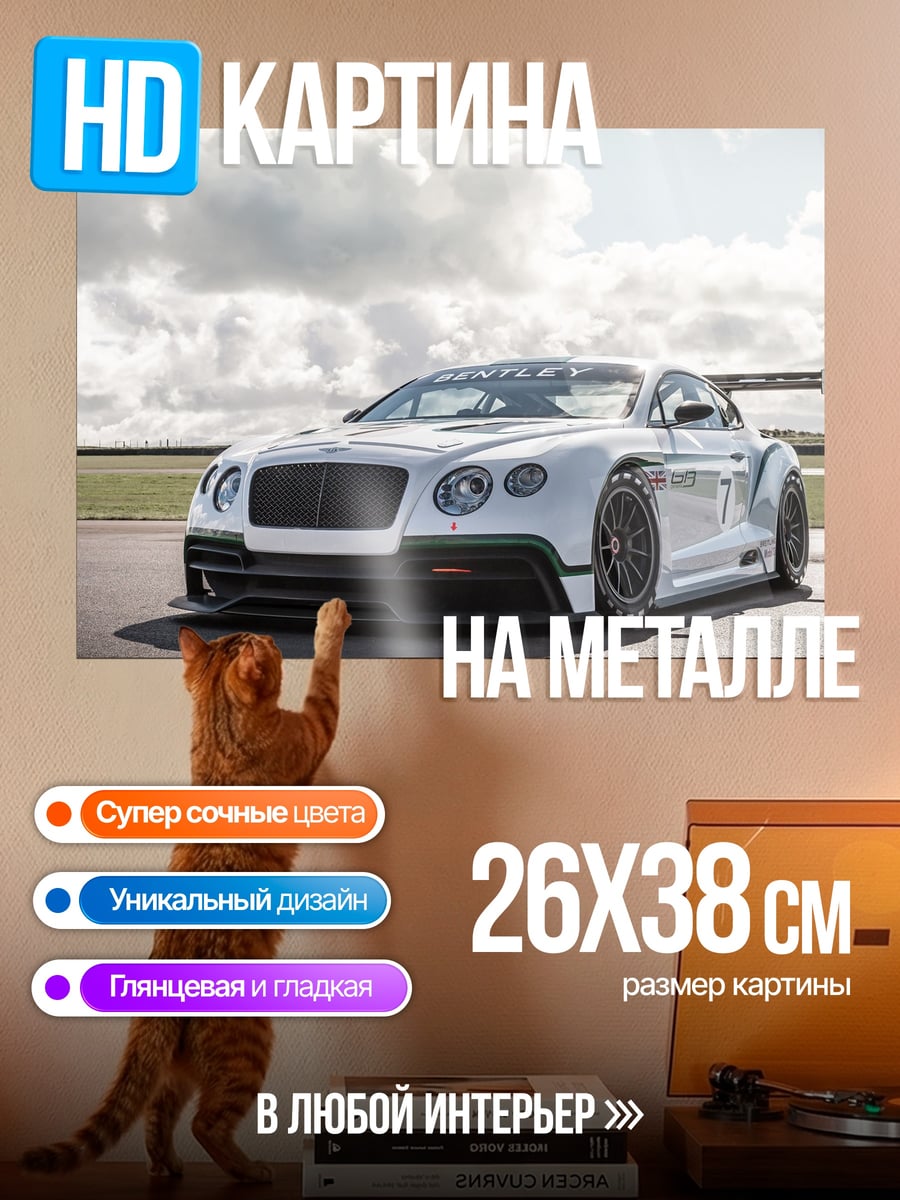 Картина на металле Гоночный Bentley