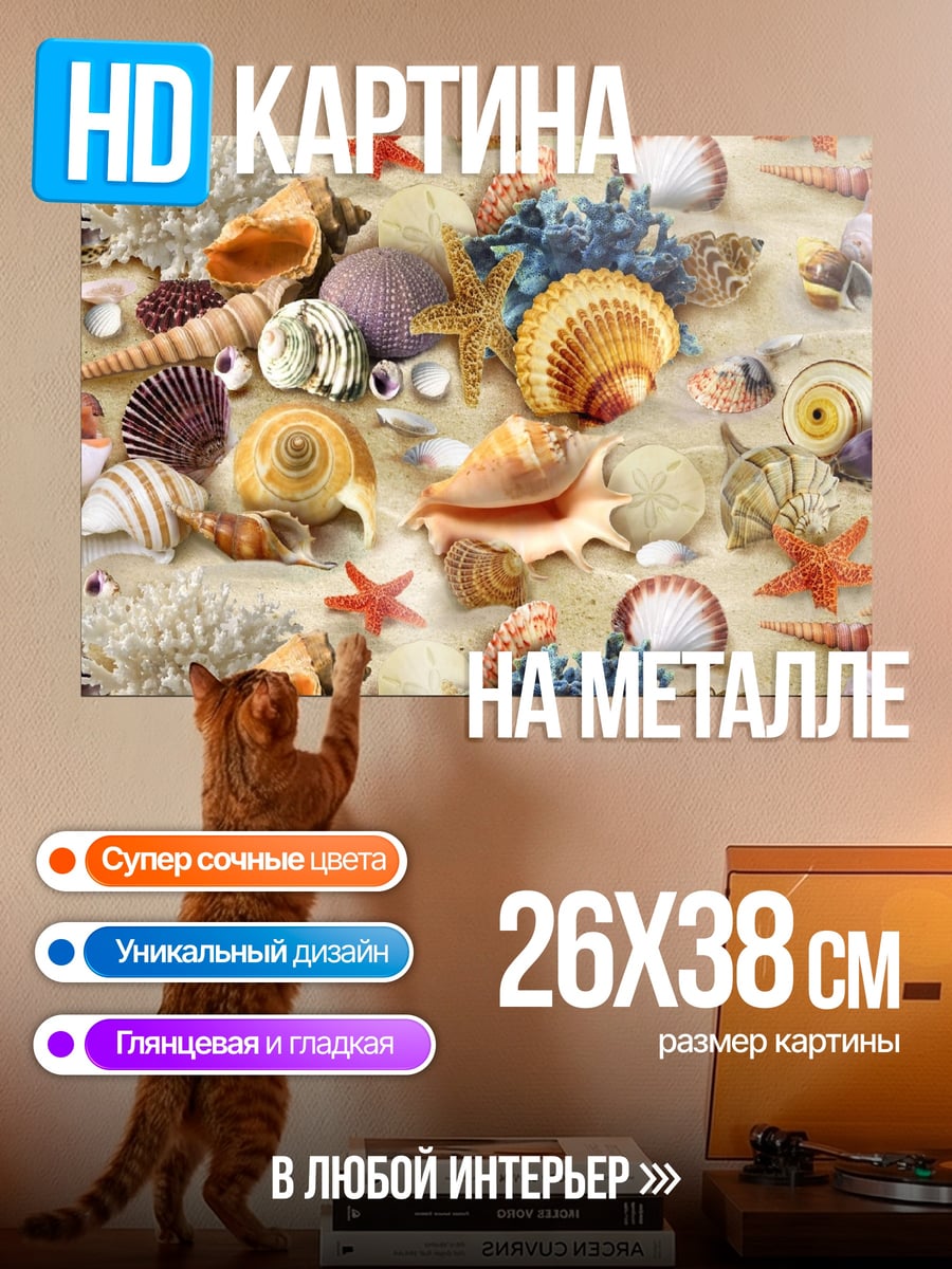 Картина на металле Морские ракушки песок