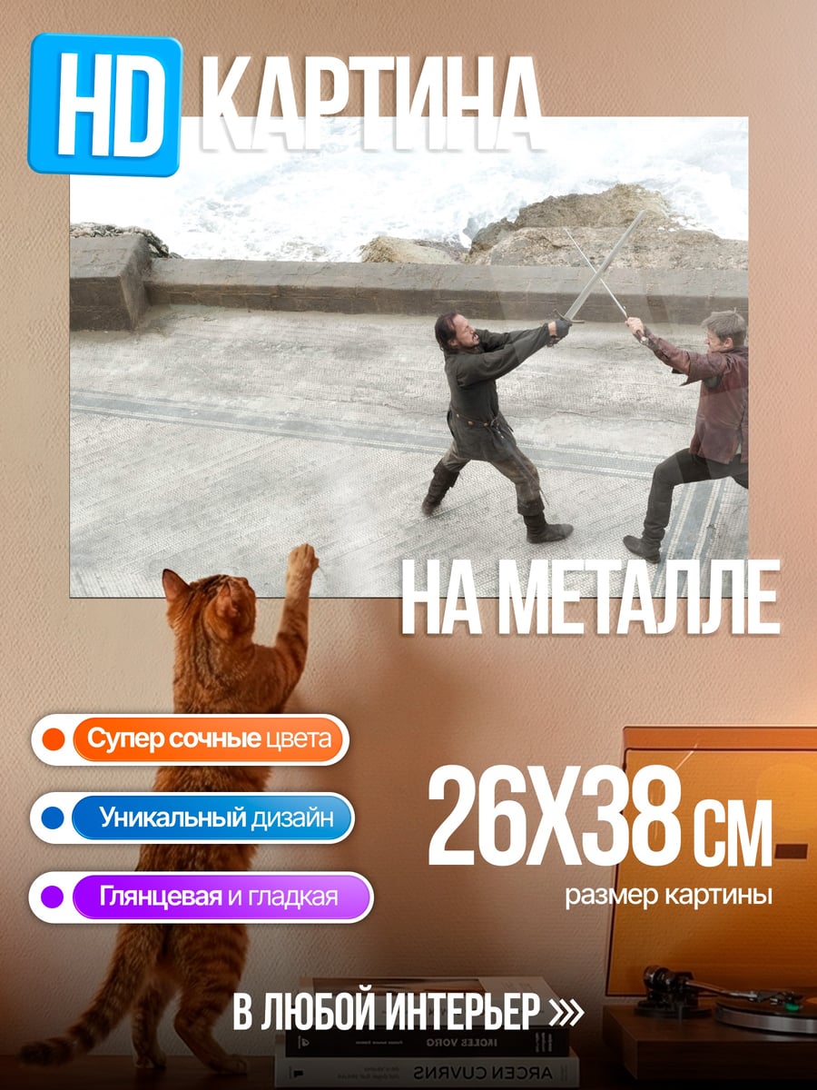 Картина на металле Два воина сражаются