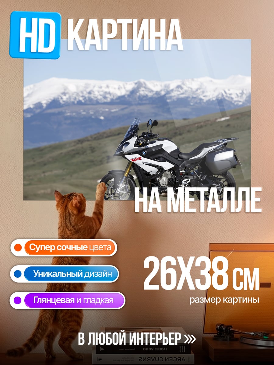 Картина на металле Мотоцикл в горах