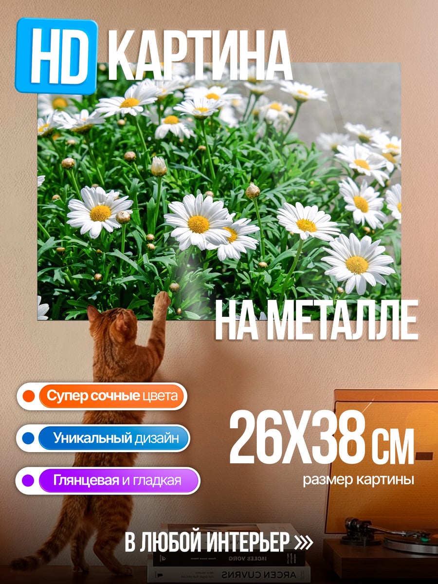 Картина на металле поле ромашек
