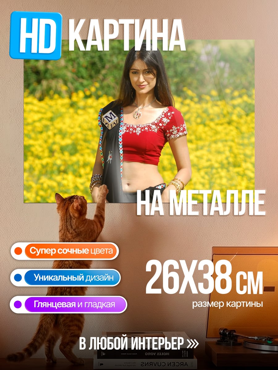 Картина на металле Индийская девушка