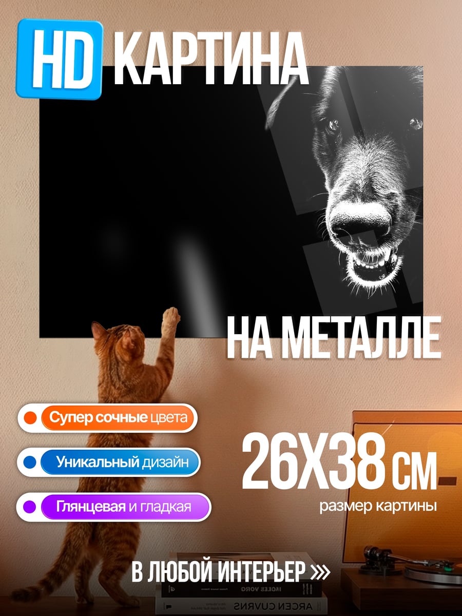 Картина на металле чёрный пёс в темноте