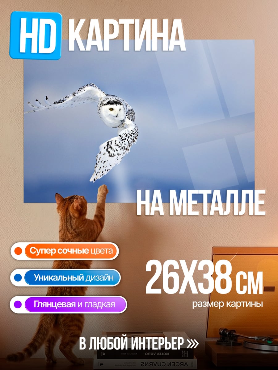 Картина на металле Белая сова в полёте