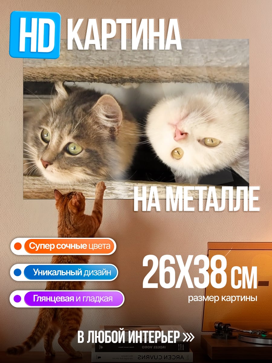 Картина на металле Два любопытных кота