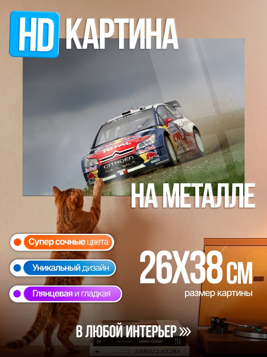 Картина на металле Раллийный автомобиль Citroen